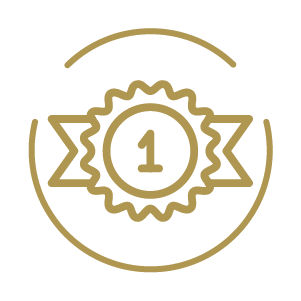 Feature Icon